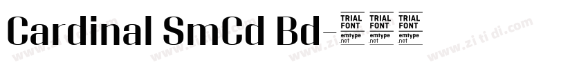 Cardinal SmCd Bd字体转换